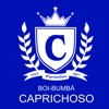 Boi Caprichoso