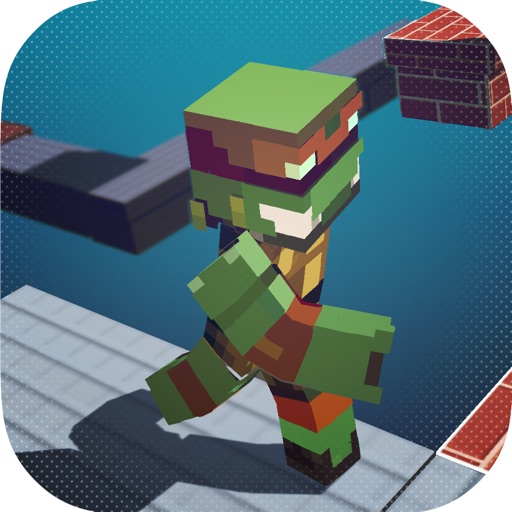 Turtles 3D Skins Crossy Block Games Icon