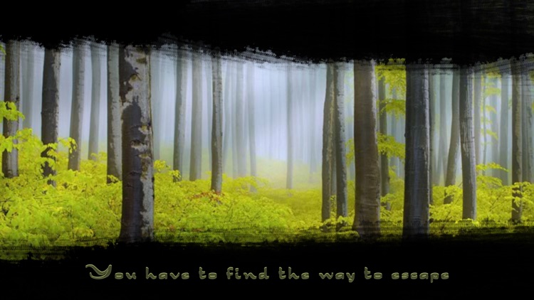 Beaver Forest Escape - a boy escape game screenshot-3
