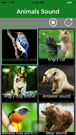 Game screenshot Animals Sound - Animal Sound Effects Free mod apk