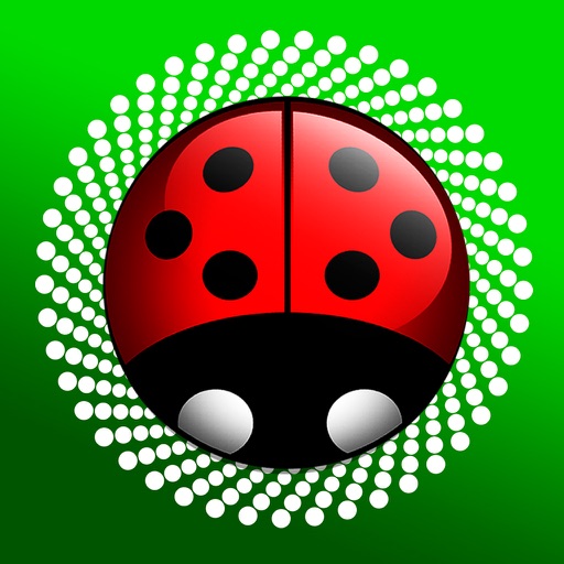 LittleBig LadyBug Photo PRO