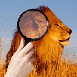 Find and Spot The Differences Photo Zoo Animals app icon