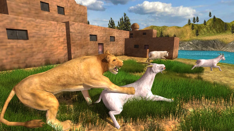 Real Lion Jungle Attack 2017 screenshot-4