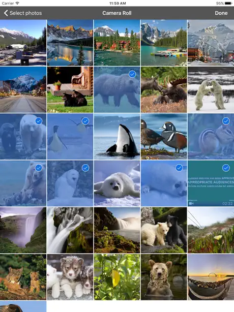 PhotoServer- WiFi photo share
