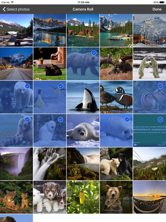 Screenshot #6 pour PhotoServer- WiFi photo share