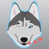 Husky Animated Stickers, Emojis, and Emotes