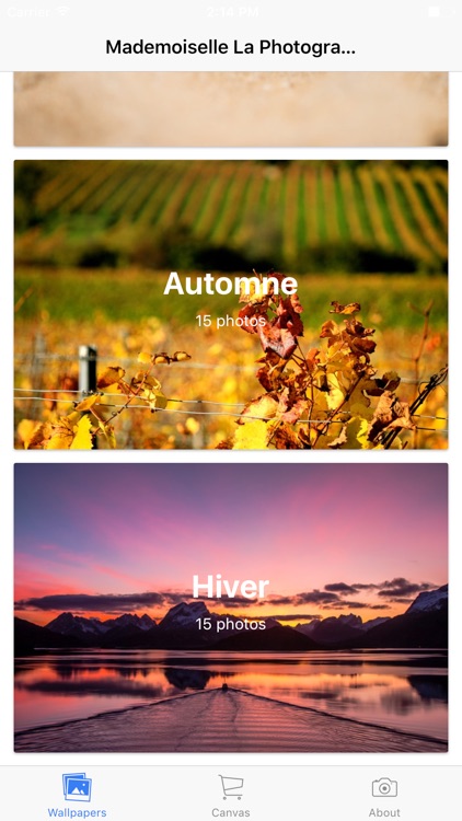 Mademoiselle La Photographe Wallpaper