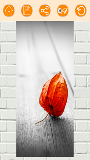 Color effects photo editor – Recolor pictures screenshot 5