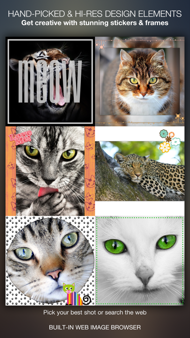 Meow Pics – 猫用ステッカー フォトフレーム 美しくデザインされたフレームとステッカーのおすすめ画像1