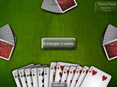 Screenshot #5 pour iCardPlayer