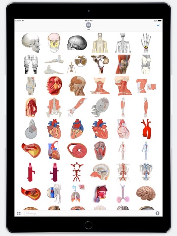 Anatomy Stickersのおすすめ画像2