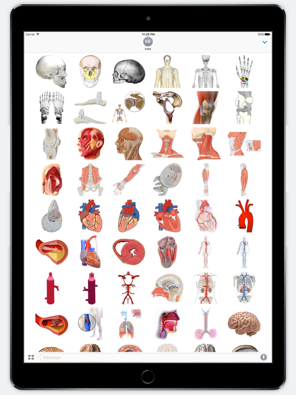 Screenshot #5 pour Anatomy Stickers