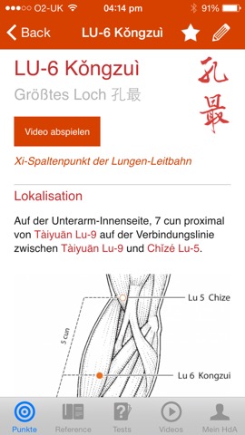 Handbuch Akupunktur (A Manual of Acupuncture)のおすすめ画像2