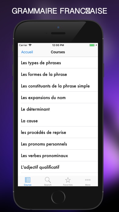 Grammaire Française 2018 screenshot 4