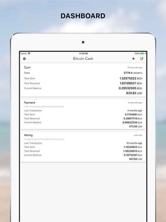 Screenshot #4 pour Bitcoin Cash address viewer