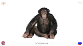 Game screenshot Играть и учиться НОРВЕЖСКИЕ hack