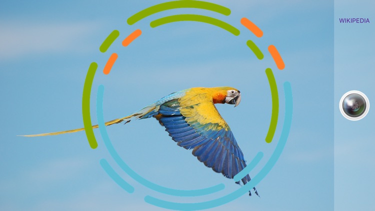 BirdSnap - Bird Identification