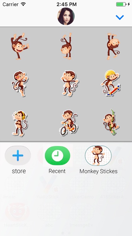 Animated Monkey: Chat Stickers screenshot-3