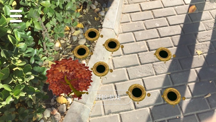 AR超级打地鼠 screenshot-4