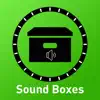 Sound Boxes for Word Study