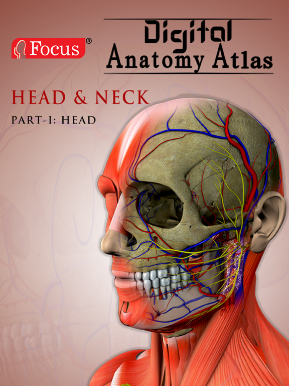 Screenshot #4 pour Head and Neck