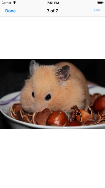 Hamster Sticker Pack screenshot-6