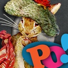 Top 33 Book Apps Like PopOut! The Tale of Benjamin Bunny - Potter - Best Alternatives
