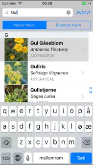 Blomstereng iphone bilder 1