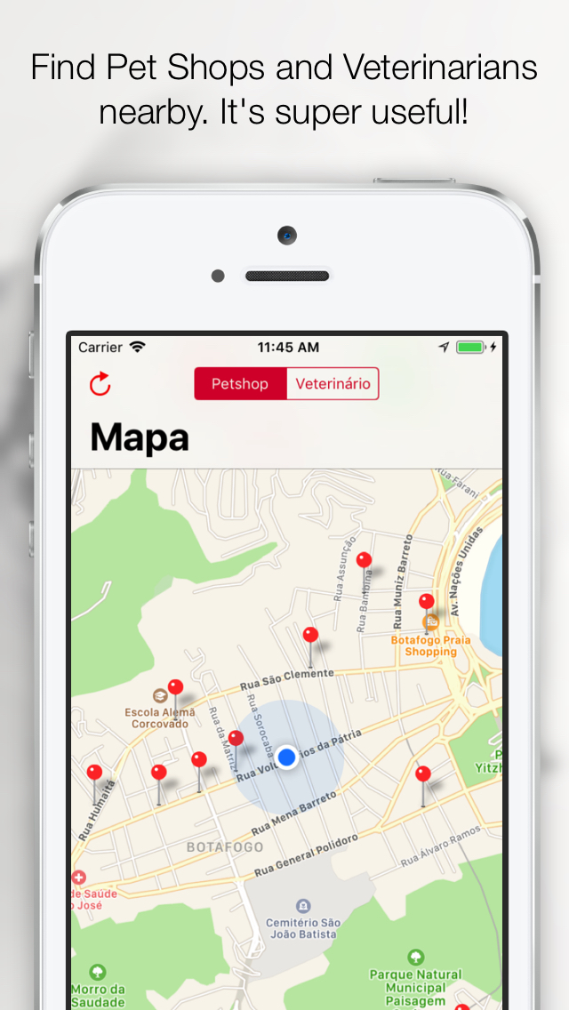 Pets - Your Pets Life