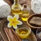 The Aromatherapy Oil Recipe Application contains over 1700 recipes which are associated with 69 of the most commonly used essential oils and over 550 individual usages categorised by Disease, Disorder, Stress and Symptoms