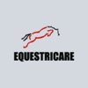 Equestricare Horse Massage