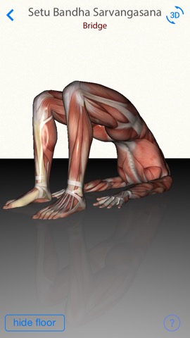 3D Yoga Anatomyのおすすめ画像3