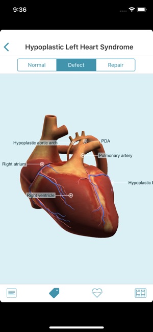 Heartpedia(圖6)-速報App