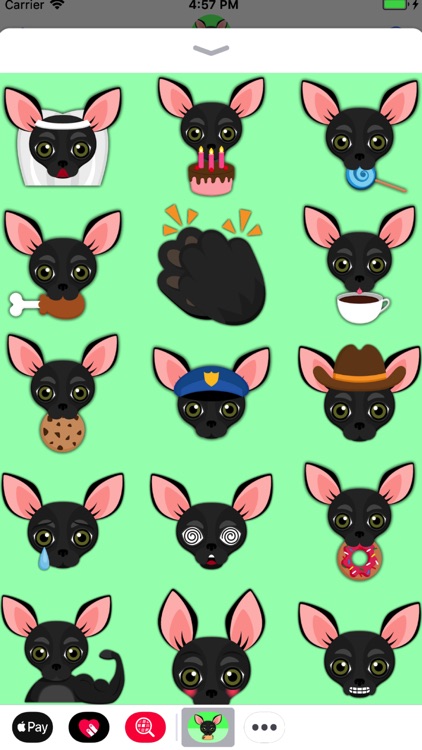 Black Chihuahua screenshot-4