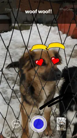 Game screenshot PupCam hack