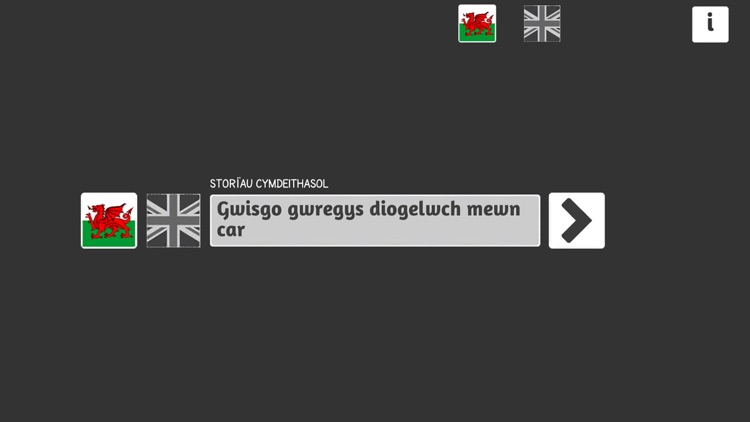 Wearing a Seatbelt in a Car