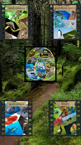 Game screenshot اسماء و اصوات الحيوانات mod apk