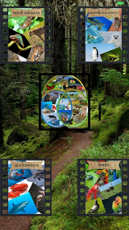 اسماء و اصوات الحيوانات