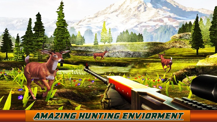 Deer Hunter - Big Buck Hunter