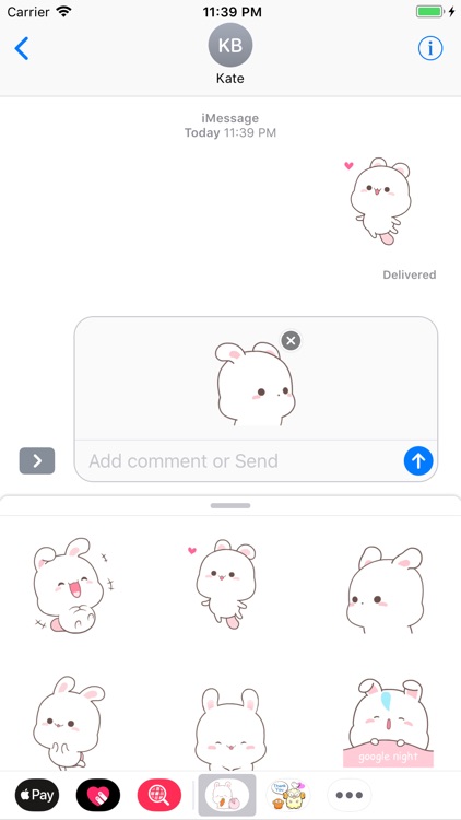 Bunny Wise Stickers Pack