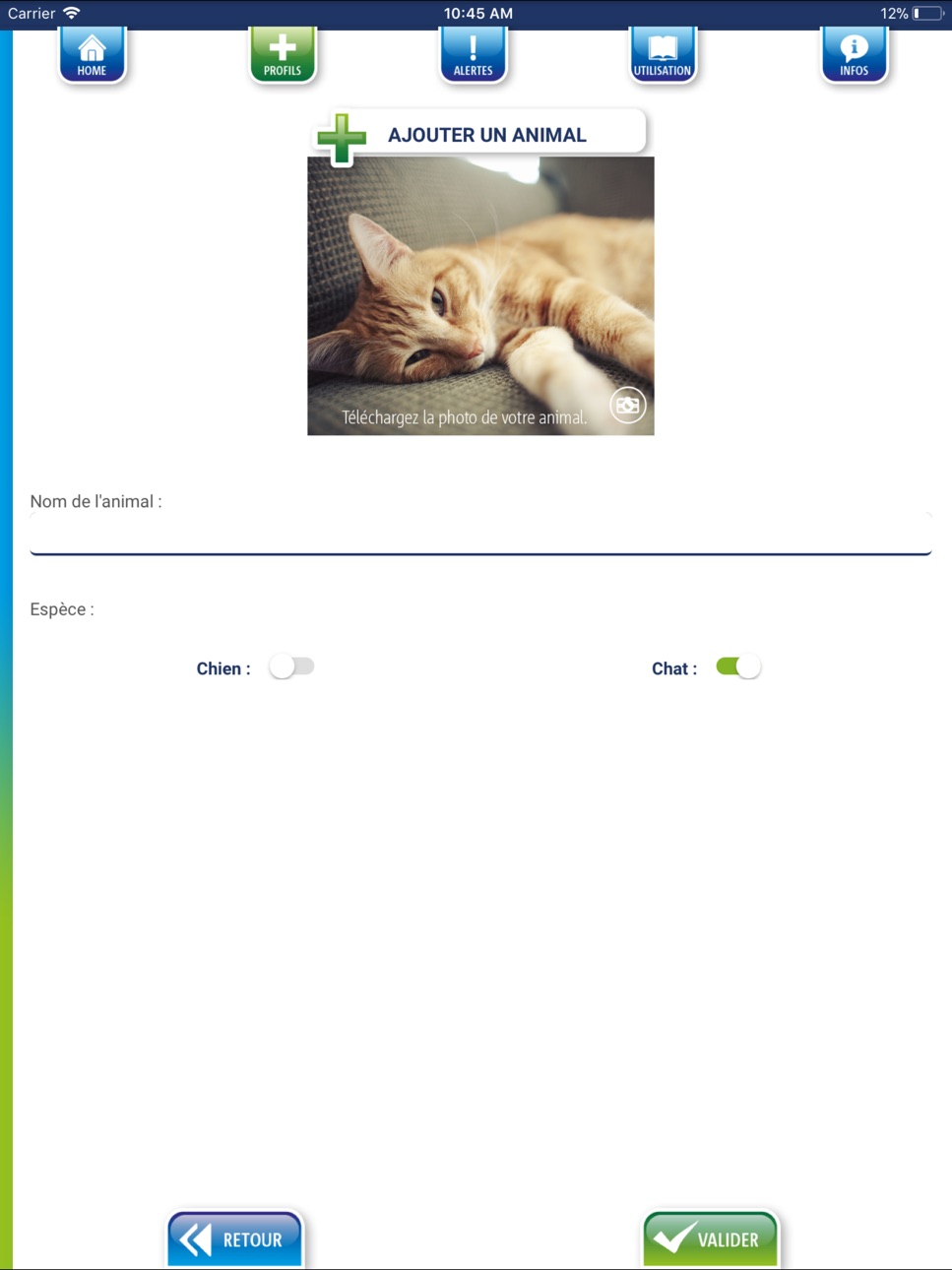 iPad screenshot
