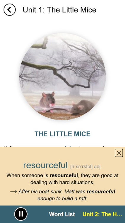 4K Essential English Words 5 screenshot-3