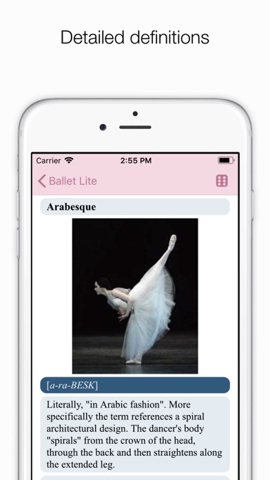 Ballet Index Screenshot