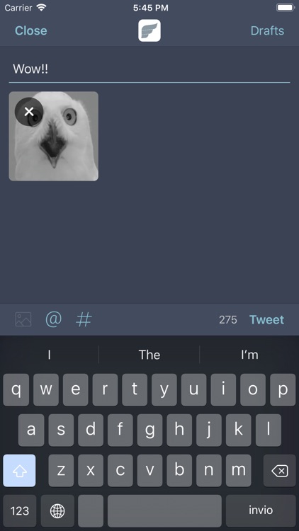 Fenix for Twitter screenshot-5