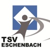 TSV Eschenbach Fußball