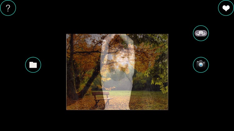PIP camera two image into one