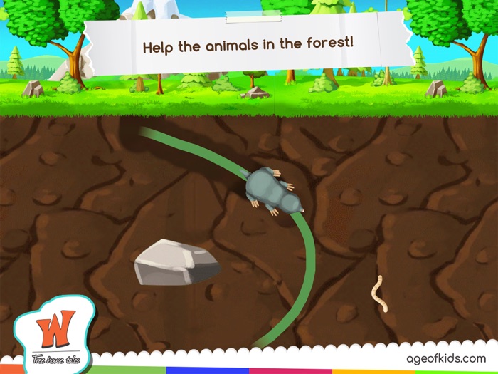 Animals Forest Wonderwood