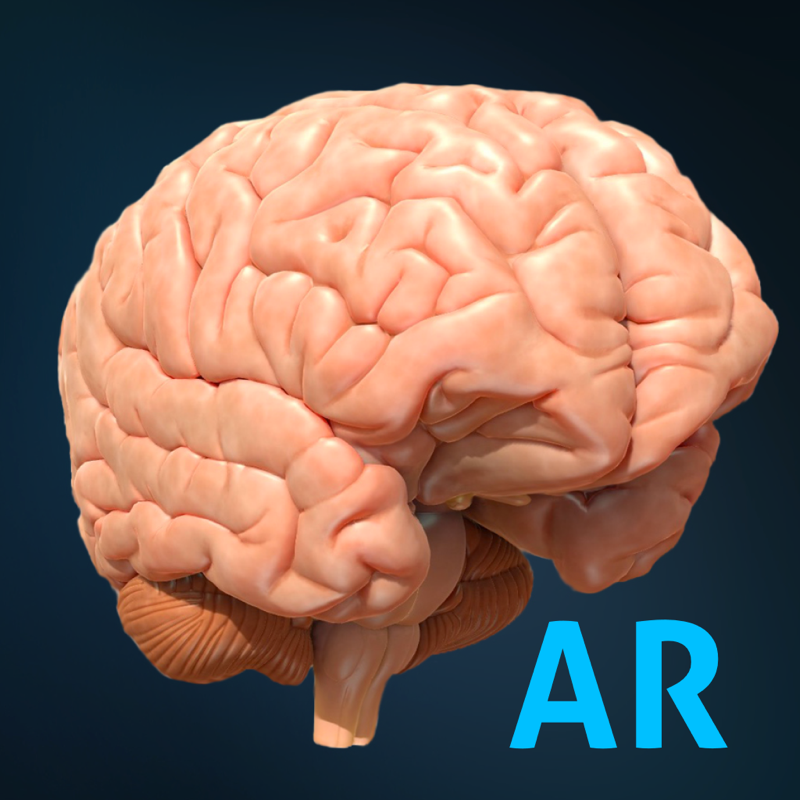 AnatomyAR+