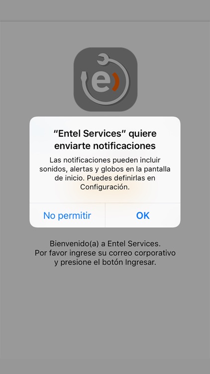 Entel Services