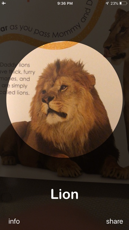 Duck Says Quack - AR